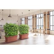 Gardenico Magnus terrakotta virágláda, 80 cm