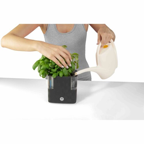 Flower Lover Pametni lonček za zelišča Cobblewhite, 14 cm