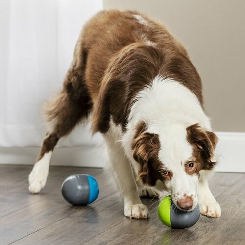 PetSafe® Ricochet Електронна іграшка для собак