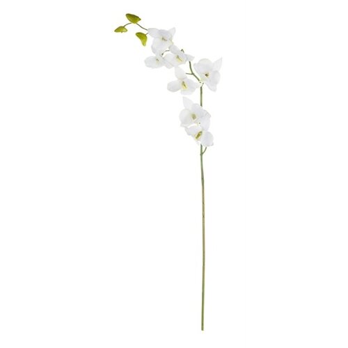 ASA Selection umělá květina orchidej