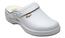 Scholl NEW BONUS  - delovna obutev  PROFESIONAL