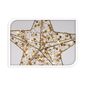 Світна різдвяна зірка Gold Diamond, 30 см, 20 LED, теплий білий, таймер