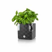 Flower Lover Šikovný kvetináč na bylinky Cobble antracit, 14 cm