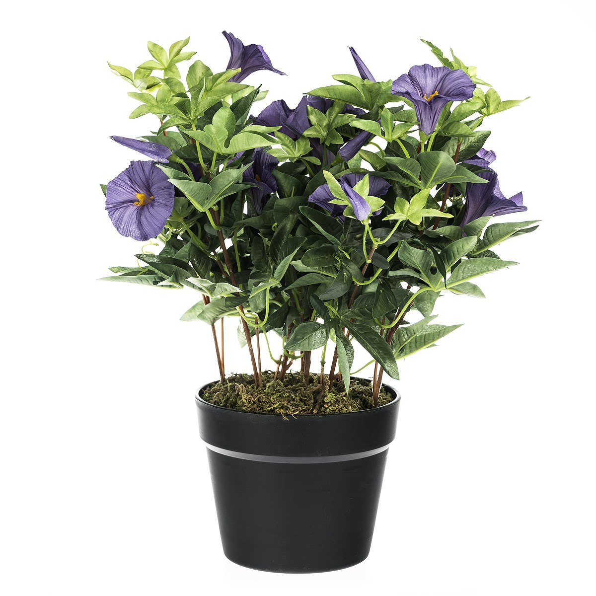 Umelý Povojník purpurový fialová, 54 cm