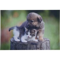 Rohožka Kotě a štěně, 38 x 58 cm