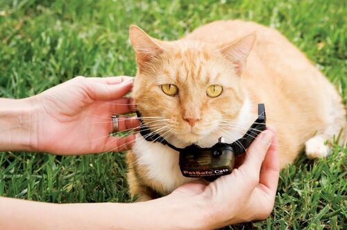 PetSafe® Extra nyakörv macskáknak Deluxe Ultralight