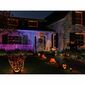 Philips Hue 8720169246867 Łańcuch świetlny LED Festavia, 2x 14 W 2000-6500 K RGB IP54, 40 m