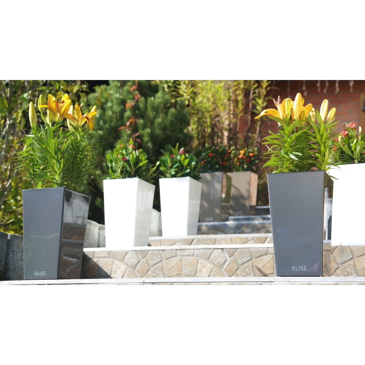 Gardenico Květináč Elise matt bílá, 25 x 47 cm - thumb (1)