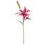 Umetna cvetlica Lilija temno roza, 17 x 17 x 60 cm
