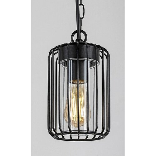 Rabalux 77107 wisząca lampa zewnętrzna Tarpa, E27,1x max. 40W, IP44