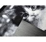 Vnitřní rohožka Kotě, 40 x 60 cm, bílá + černá, 40 x 60 cm
