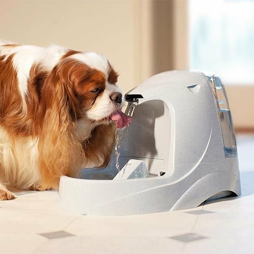 PetSafe® Platinum Fontánka 5 l