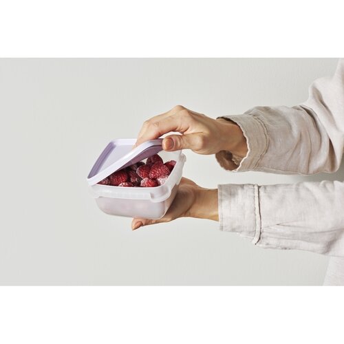 Set de recipiente SmartStore de plastic pentrucongelator 6 buc, lavanda, 300 ml