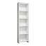 Biblioteca Barkin White