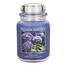 Village Candle Vonná svíčka Hortenzie - Hydrangea, 645 g