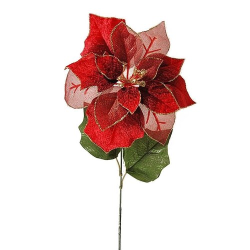 Fotografie Vánoční růže červená, 55 cm