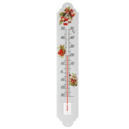Kovový teplomer Berries, 49 cm