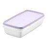 SmartStore Komplet plastičnih posod Freezer 2 kos,