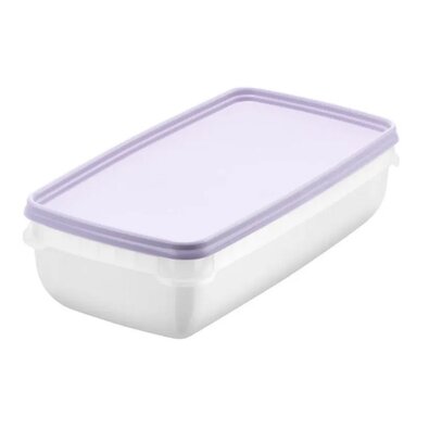 SmartStore Komplet plastičnih posod Freezer 2 kos,sivka, 1200 ml