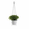 Gardenico Samoplačniški viseči sadilnik Marinabela, premer 30 cm