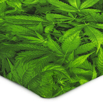 4Home Prestieradlo Aromatica, 160 x 200 cm + 25 cm 4Home Prestieradlo Aromatica, 160 x 200 cm