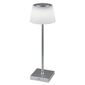 Lampă de masă cu LED Rabalux 76013 Taena, 4 W, argintiu