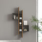 Wandregal Emse Oak