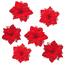 Різдвяна прикраса Poinsettia з затискачем червона, набір з 6 штук