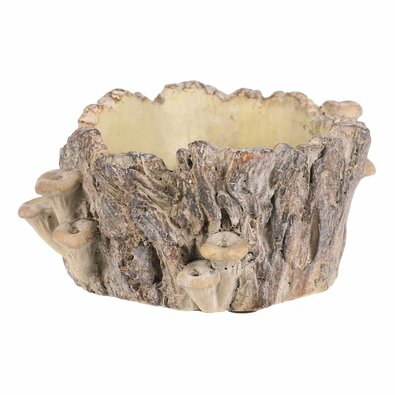 Beton-Übertopf - Baumstumpf mit Pilzen, 18 x 14 x 9 cm