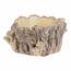 Obudowa betonowa - pień z grzybami, 18 x 14 x 9 cm