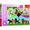 Trefl Puzzle Krásní koně, 200 dílků