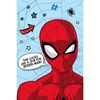 Jerry Fabrics Spider-man gyerek takaró , 100 x 150 cm