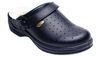 Scholl NEW BONUS  - delovna obutev  PROFESIONAL