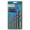 Fieldmann FDV 9012 set de burghie cu biți, 12piese