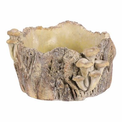 Beton burkolat - tusk with mushrooms, 26 x 24 x 14cm
