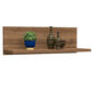Półka Fane Walnut