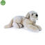Rappa Pluszowy pies Retriwer leżący, 42 cm