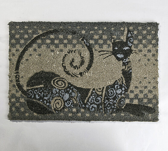 Vnútorná rohožka Mačka, 40 x 70 cm, sivá, 40 x 70 cm