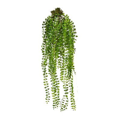 Umělá rostlina Columnea závěsná, 48 cm, zelená