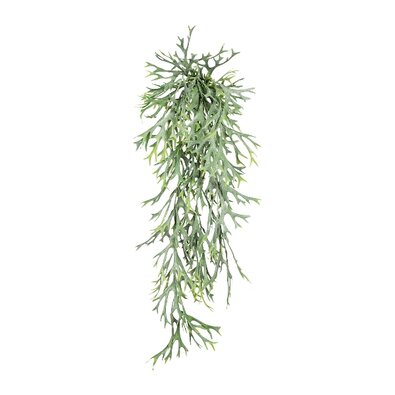 Umetna rastlina Parožnatka viseča, 75 cm, zelena