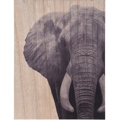 Obraz na dřevě Elephant, 28 x 38 cm