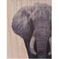 Obraz na dreve Elephant, 28 x 38 cm