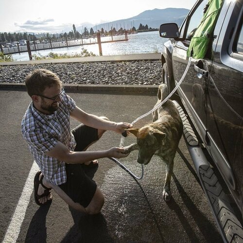 Kurgo® Go Shower Prenosná sprcha pre psov