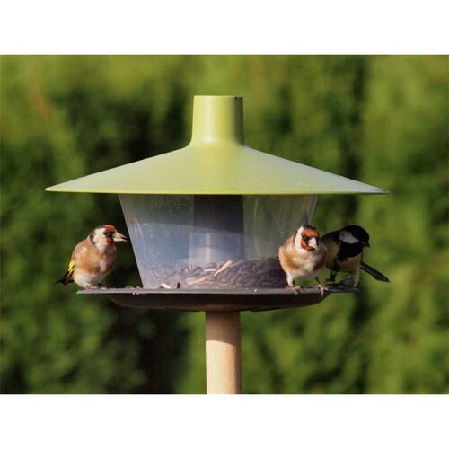 Krmítko za ptice Finch, zelena