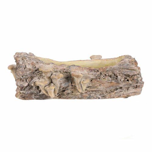 Übertopf aus Beton – Blumenkasten, Holz mit Pilzen, 36 x 18 x 13 cm, braun