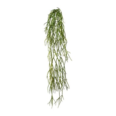 Művirág Rhipsalis függő, 61 cm, zöld