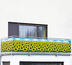 Wenko Zástena na balkón slnečnica