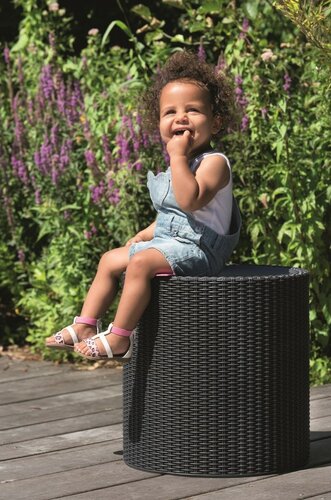 Keter Ablagetisch Cool Stool 39 l, anthrazit