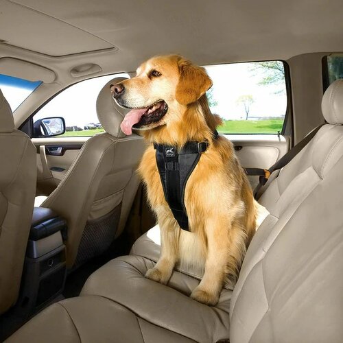 Kurgo Bezpečnostní postroj pro psy s pásem do auta, černá, XL