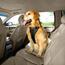 Kurgo Szelki bezpieczeństwa dla psów z pasemsamochodowym, czarny, XL